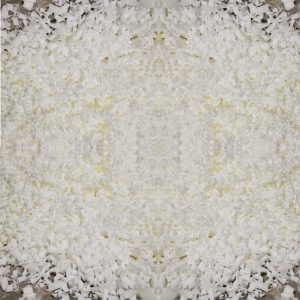 ابر و اسفنج خرد و آسیابی - https://uniquehome.ir/